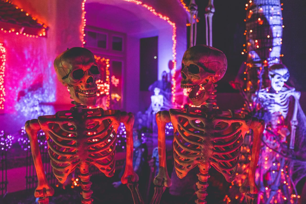 Halloween Collection